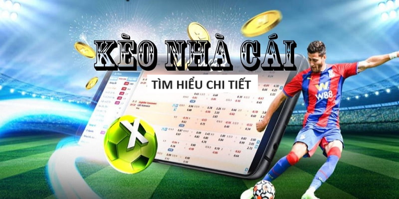 xoaitv-Khám phá các ưu đãi tặng thưởng hấp dẫn! xoaitv-Khám phá các ưu đãi tặng thưởng hấp dẫn!